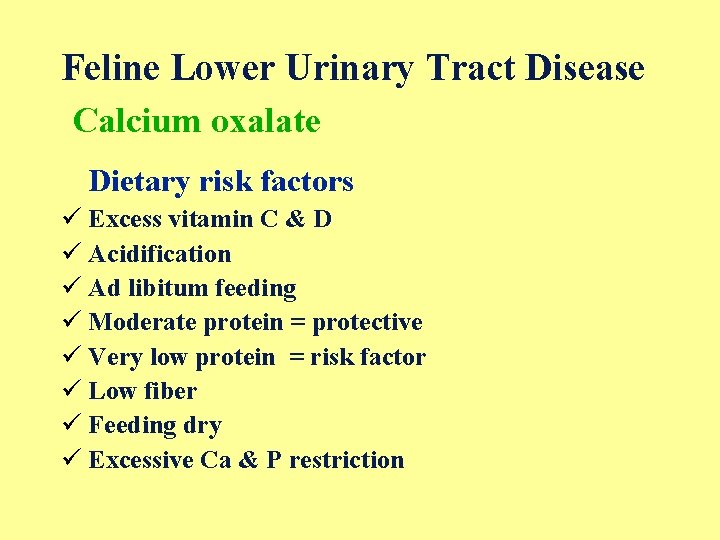 Feline Lower Urinary Tract Disease Calcium oxalate Dietary risk factors ü Excess vitamin C