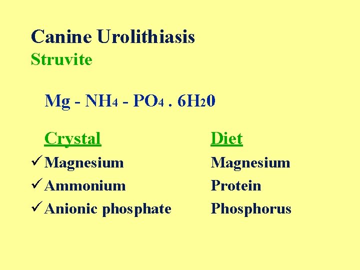 Canine Urolithiasis Struvite Mg - NH 4 - PO 4. 6 H 20 Crystal