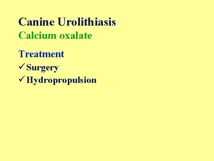 Canine Urolithiasis Calcium oxalate Treatment ü Surgery ü Hydropropulsion 