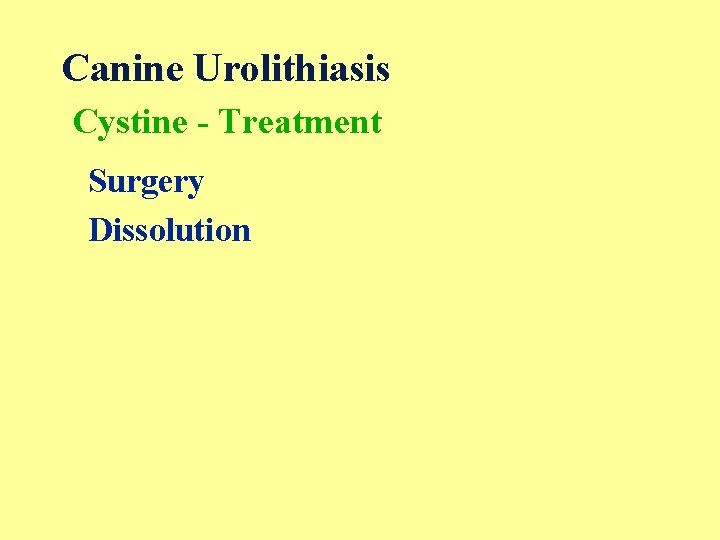 Canine Urolithiasis Cystine - Treatment Surgery Dissolution 