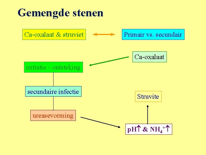 Gemengde stenen Ca-oxalaat & struviet Primair vs. secundair Ca-oxalaat irritatie - ontsteking secundaire infectie