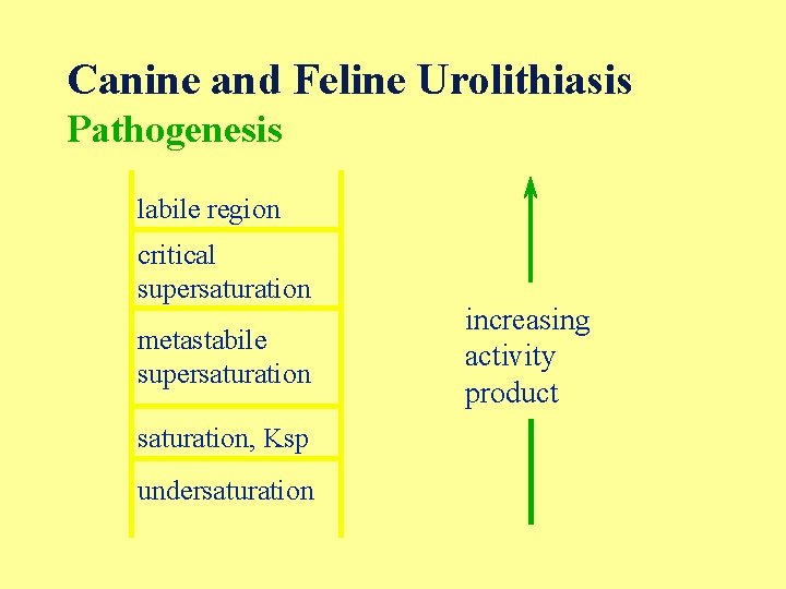 Canine and Feline Urolithiasis Pathogenesis labile region critical supersaturation metastabile supersaturation, Ksp undersaturation increasing