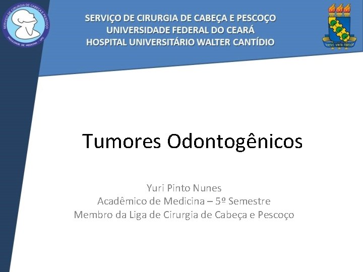Tumores Odontogênicos Yuri Pinto Nunes Acadêmico de Medicina – 5º Semestre Membro da Liga