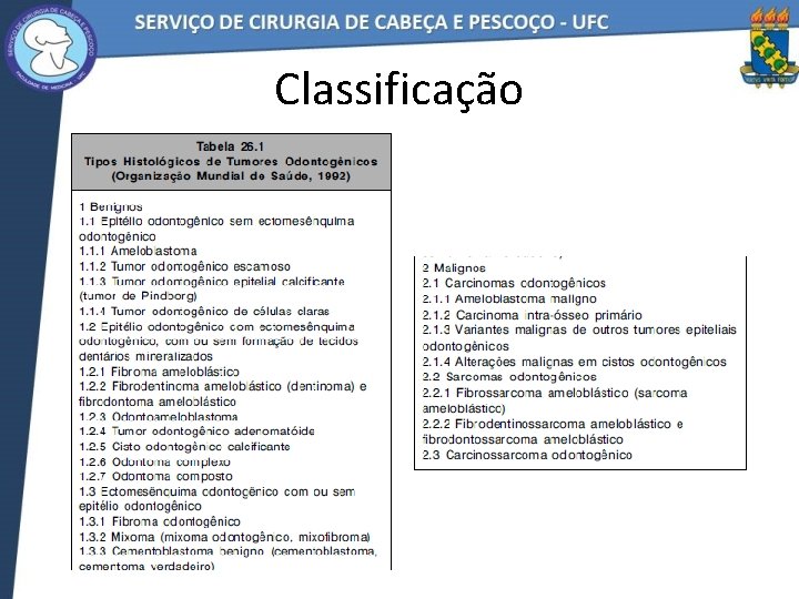 Classificação 