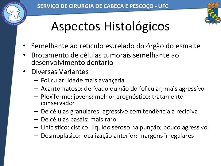 Aspectos Histológicos • Semelhante ao retículo estrelado do órgão do esmalte • Brotamento de