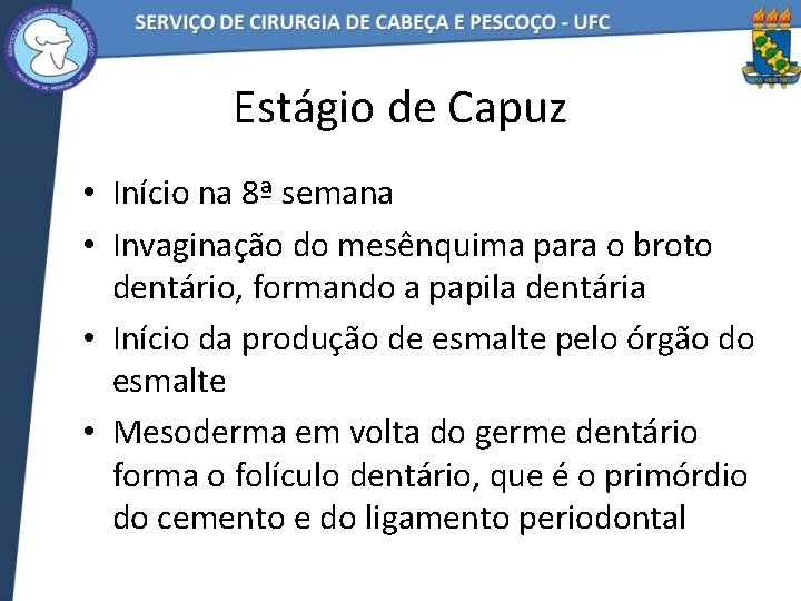 Estágio de Capuz • Início na 8ª semana • Invaginação do mesênquima para o