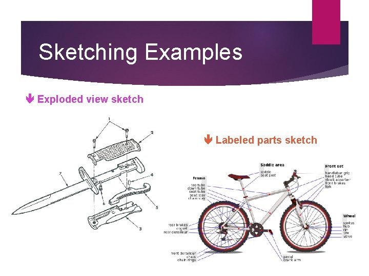 Sketching Examples Exploded view sketch Labeled parts sketch 