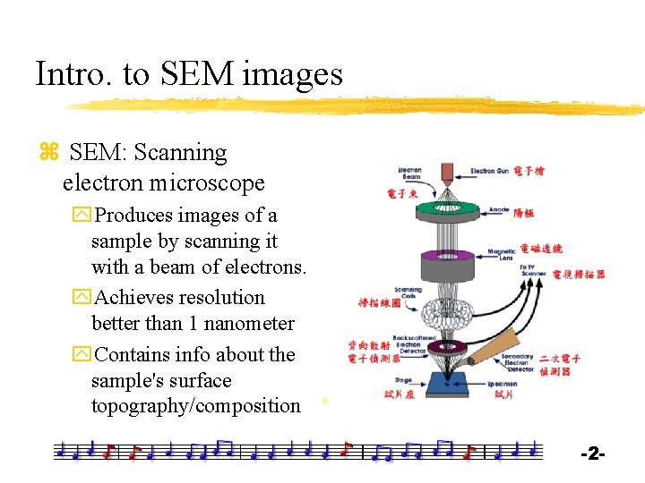 Intro. to SEM images z SEM: Scanning electron microscope y. Produces images of a