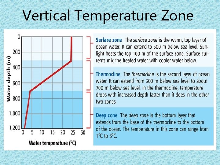 Vertical Temperature Zone 