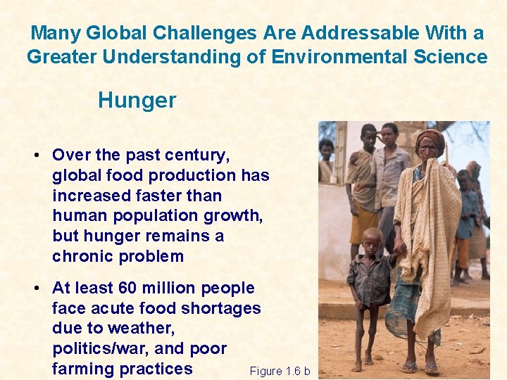 Many Global Challenges Are Addressable With a Greater Understanding of Environmental Science Hunger •