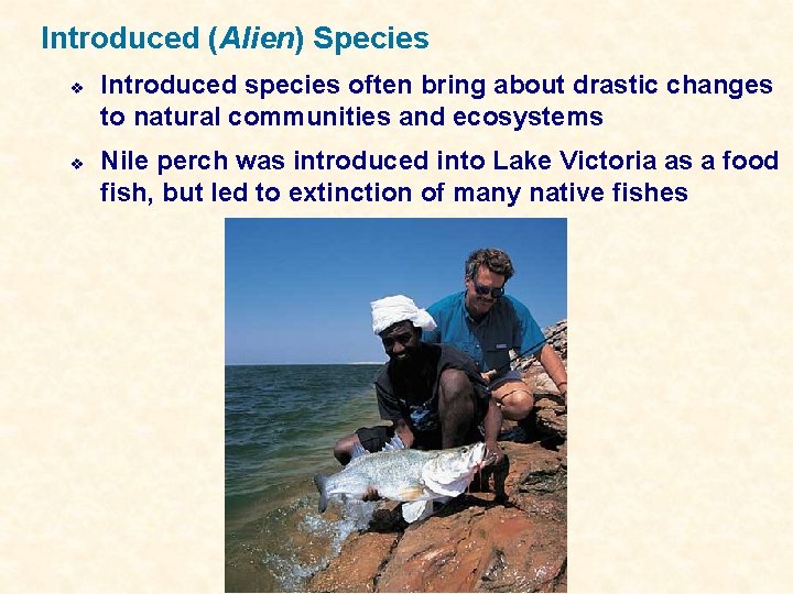 Introduced (Alien) Species v v Introduced species often bring about drastic changes to natural
