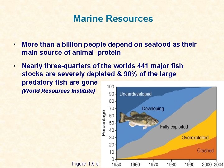 Marine Resources • More than a billion people depend on seafood as their main