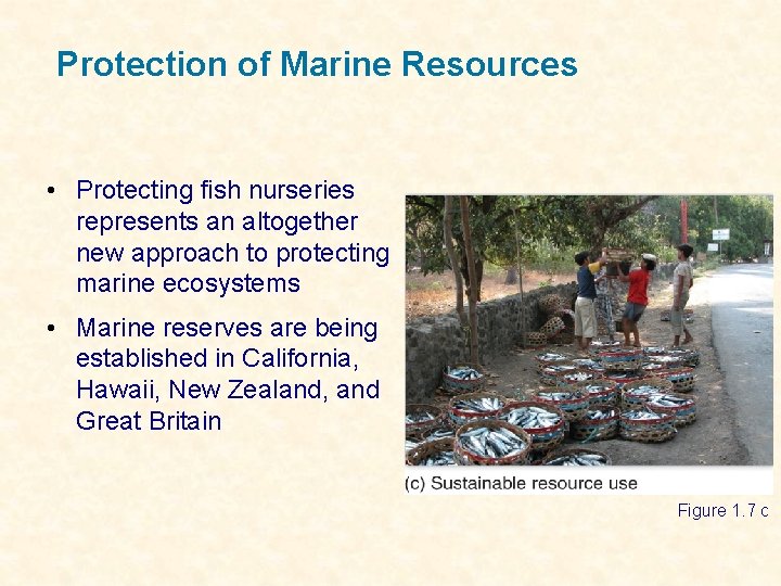 Protection of Marine Resources • Protecting fish nurseries represents an altogether new approach to