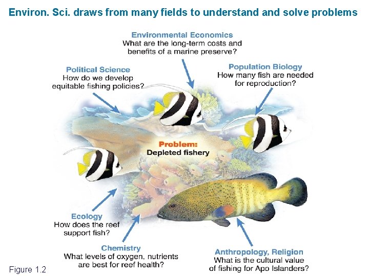Environ. Sci. draws from many fields to understand solve problems Figure 1. 2 