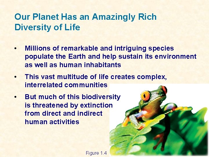 Our Planet Has an Amazingly Rich Diversity of Life • Millions of remarkable and