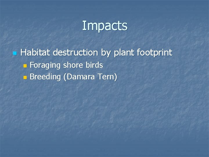 Impacts n Habitat destruction by plant footprint Foraging shore birds n Breeding (Damara Tern)