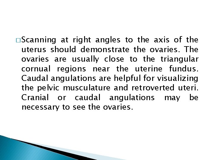 � Scanning at right angles to the axis of the uterus should demonstrate the