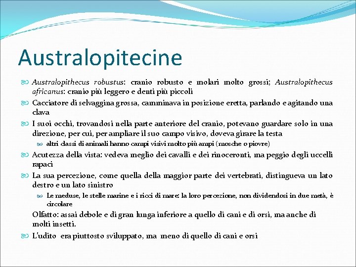 Australopitecine Australopithecus robustus: cranio robusto e molari molto grossi; Australopithecus africanus: cranio più leggero