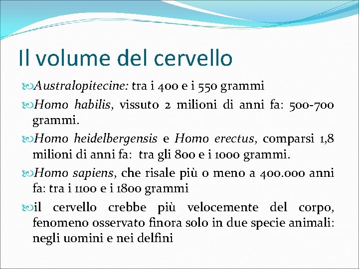 Il volume del cervello Australopitecine: tra i 400 e i 550 grammi Homo habilis,