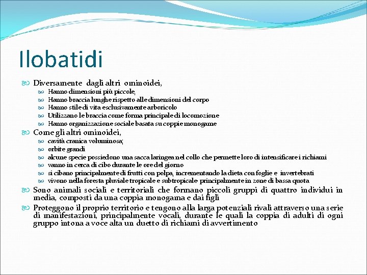 Ilobatidi Diversamente dagli altri ominoidei, Hanno dimensioni più piccole, Hanno braccia lunghe rispetto alle