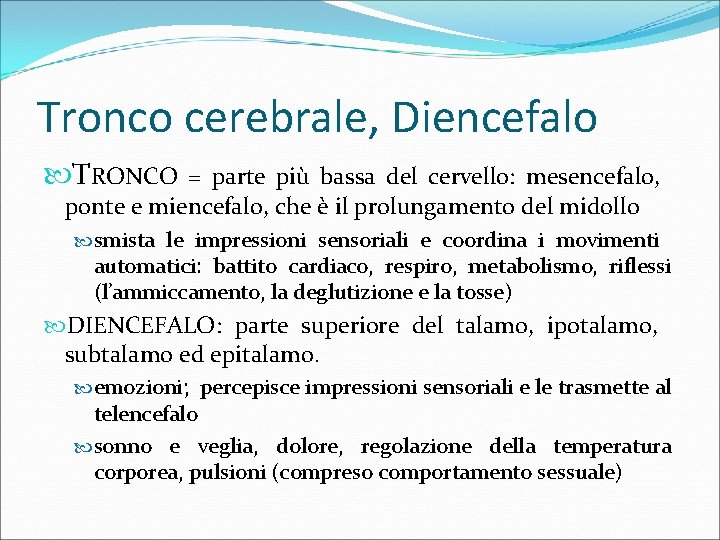 Tronco cerebrale, Diencefalo TRONCO = parte più bassa del cervello: mesencefalo, ponte e miencefalo,