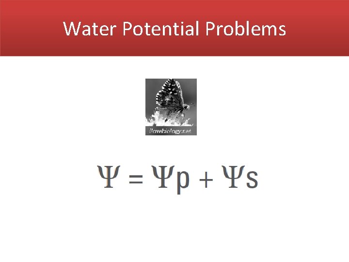 Water Potential Problems 