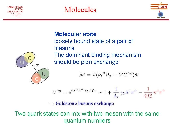 Molecules Molecular state: loosely bound state of a pair of mesons. The dominant binding