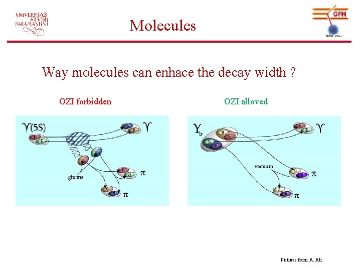 Molecules Way molecules can enhace the decay width ? OZI forbidden OZI alloved Pictures
