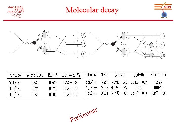 Molecular decay P ar n i m reli 