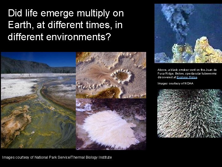 Did life emerge multiply on Earth, at different times, in different environments? Above, a