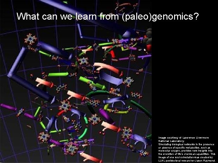 What can we learn from (paleo)genomics? Image courtesy of Lawrence Livermore National Laboratory. Simulating