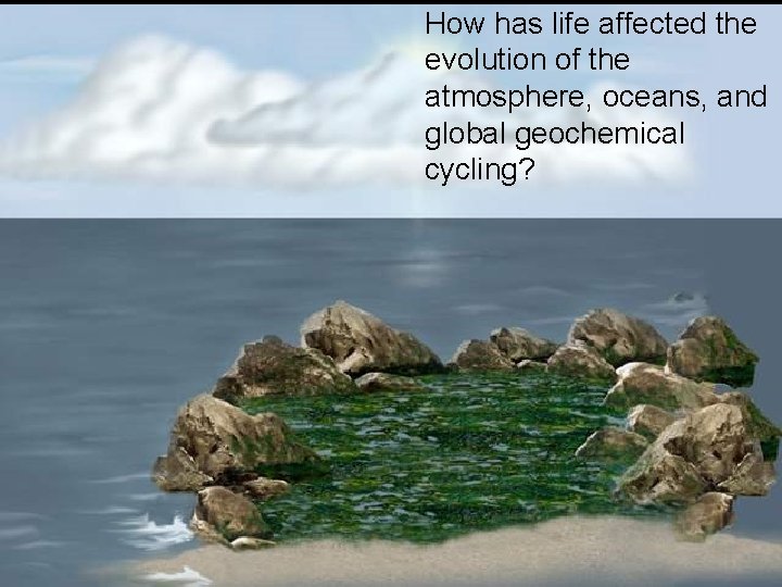 How has life affected the evolution of the atmosphere, oceans, and global geochemical cycling?