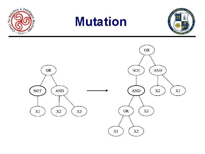 Mutation 