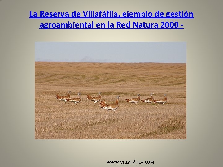 La Reserva de Villafáfila, ejemplo de gestión agroambiental en la Red Natura 2000 -
