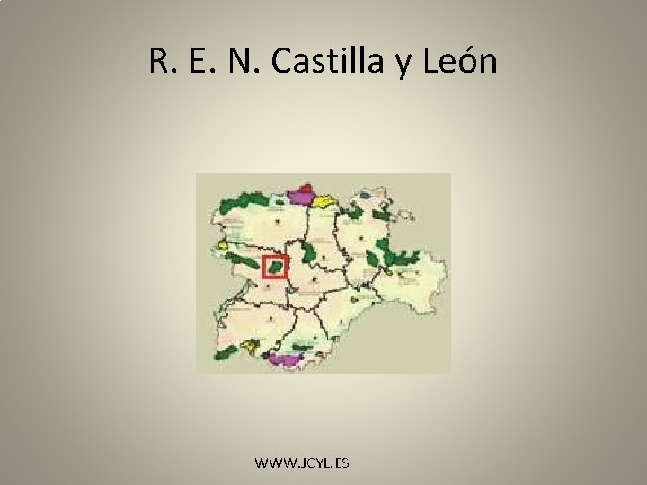 R. E. N. Castilla y León WWW. JCYL. ES 