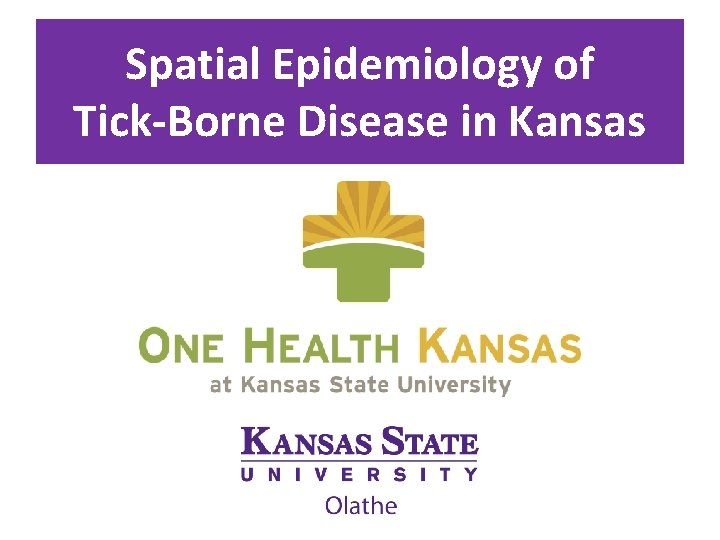 Spatial Epidemiology of Tick-Borne Disease in Kansas 