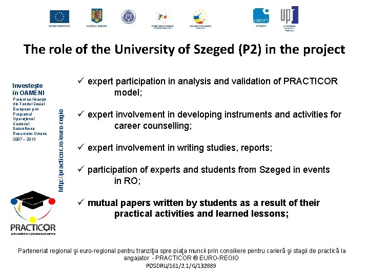 The role of the University of Szeged (P 2) in the project ü expert