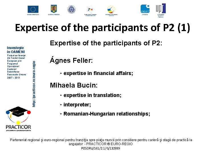 Expertise of the participants of P 2 (1) Expertise of the participants of P