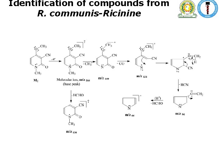 Identification of compounds from R. communis-Ricinine Identification of compounds from R. communis-Ricinine