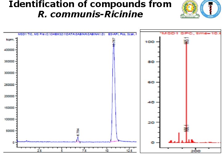 Identification of compounds from R. communis-Ricinine Identification of compounds from R. communis-Ricinine
