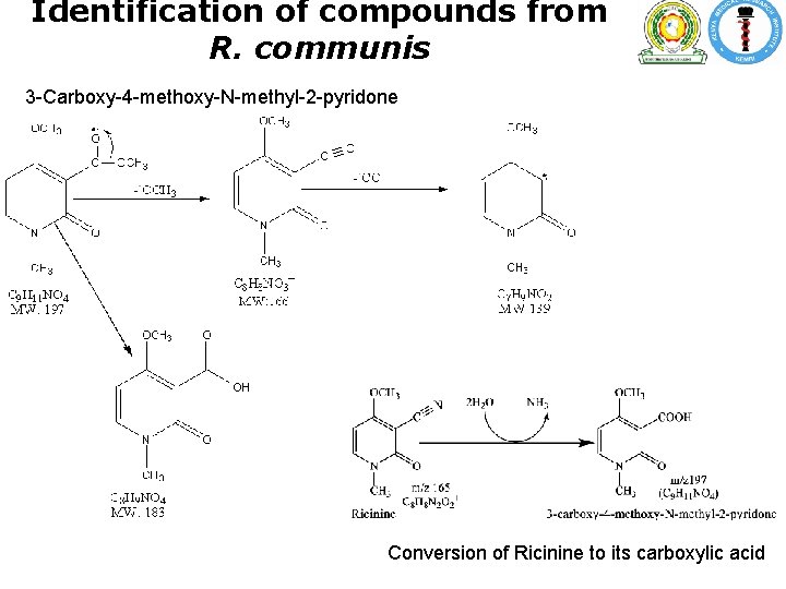 Identification of compounds from R. communis 3 -Carboxy-4 -methoxy-N-methyl-2 -pyridone Conversion of Ricinine to Identification of compounds from R. communis 3 -Carboxy-4 -methoxy-N-methyl-2 -pyridone Conversion of Ricinine to