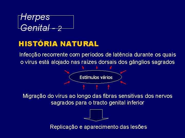 Herpes Genital - 2 HISTÓRIA NATURAL Infecção recorrente com períodos de latência durante os