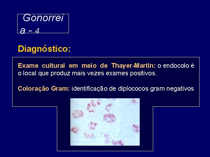 Gonorrei a-4 Diagnóstico: Exame cultural em meio de Thayer-Martin: o endocolo é o local