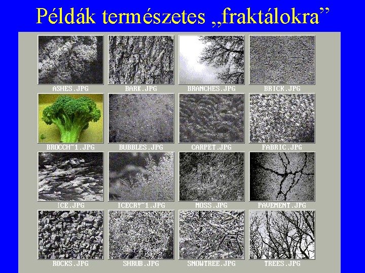 Példák természetes „fraktálokra” 