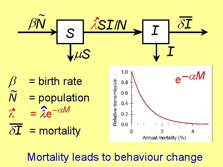 ~ N S * SI /N m. S ~ N l* = birth rate ~ N S * SI /N m. S ~ N l* = birth rate