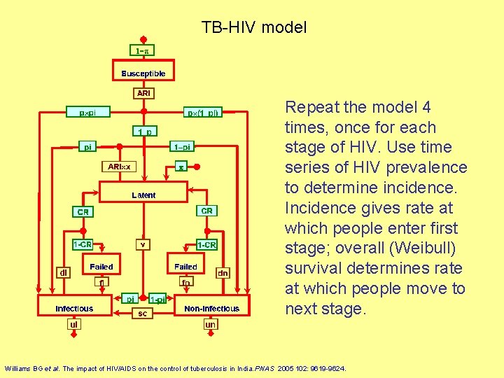TB-HIV model Repeat the model 4 times, once for each stage of HIV. Use
