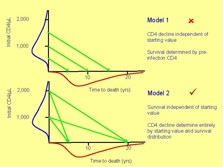 Initial CD 4/m. L 2, 000 Model 1 CD 4 decline independent of starting