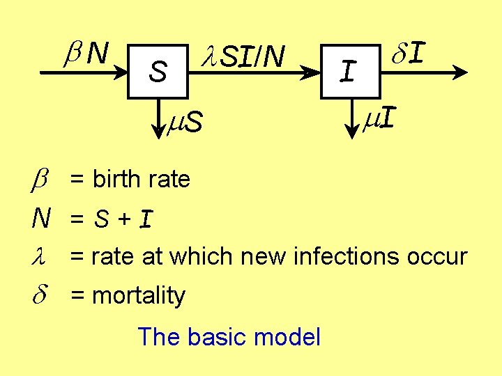  N S SI/N m. S I I m. I = birth rate N