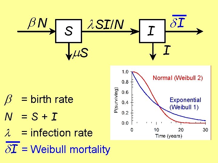  N S SI/N m. S I I I Normal (Weibull 2) = birth