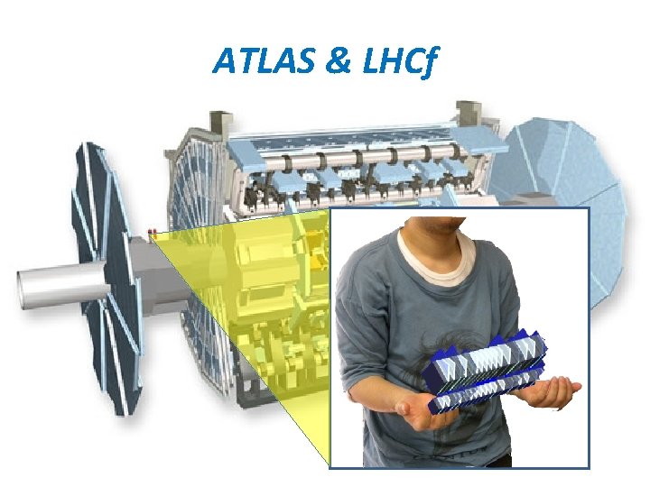 ATLAS & LHCf 